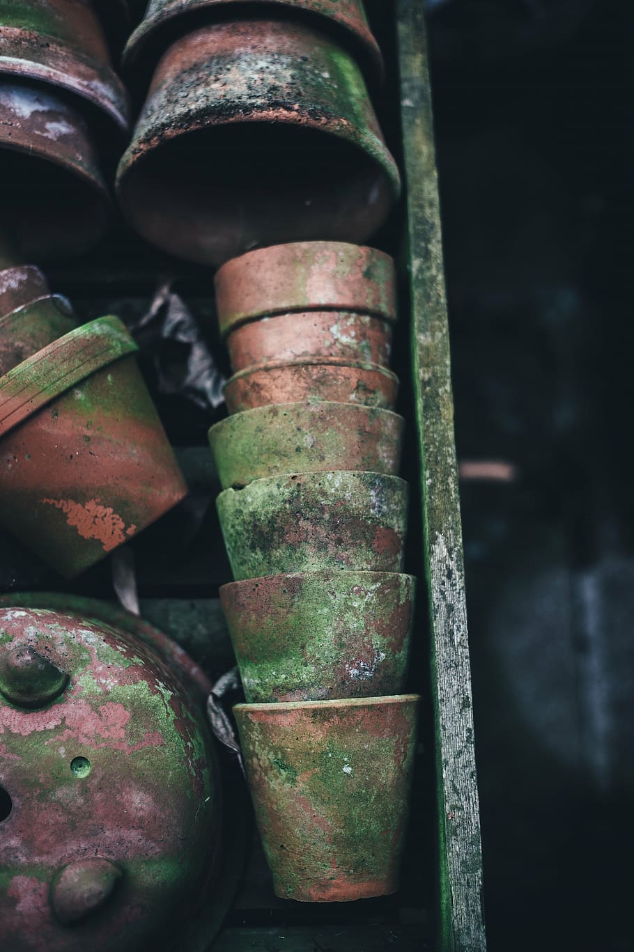 flowerpot lot, ceramic, clay, plant, old, mold, no people, close-up HD wallpaper