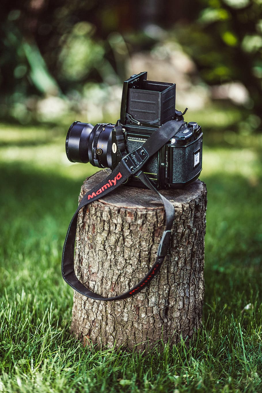 vintage, camera, old, retro, photo, old camera, photographer HD wallpaper