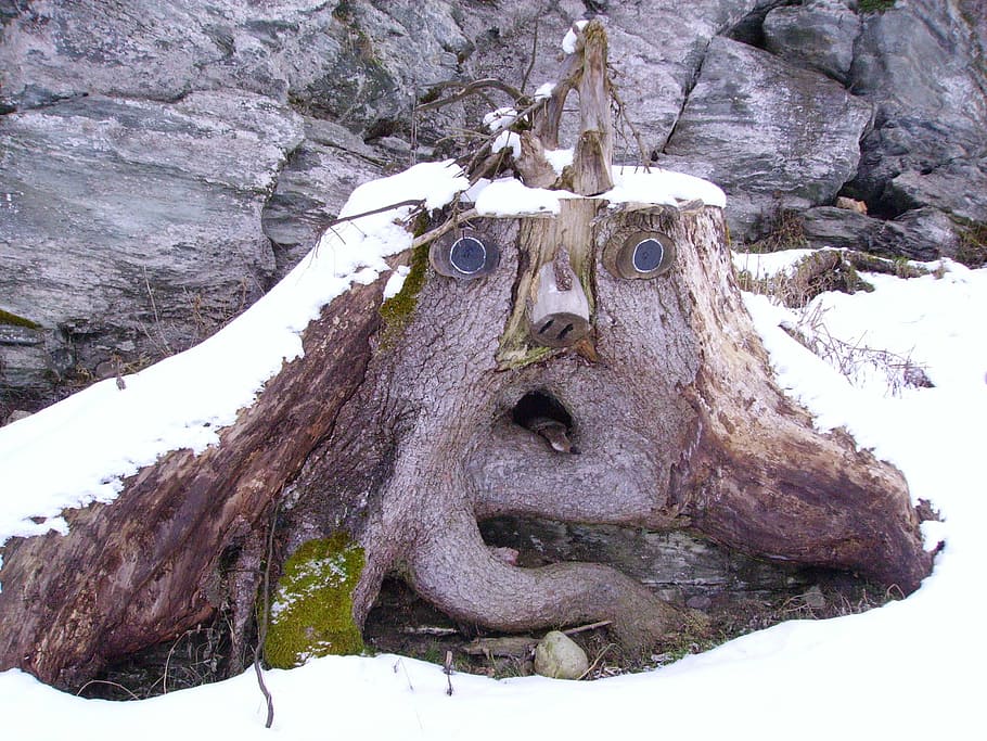 root face, baumstumpfm face, tree, winter, nature, no people HD wallpaper
