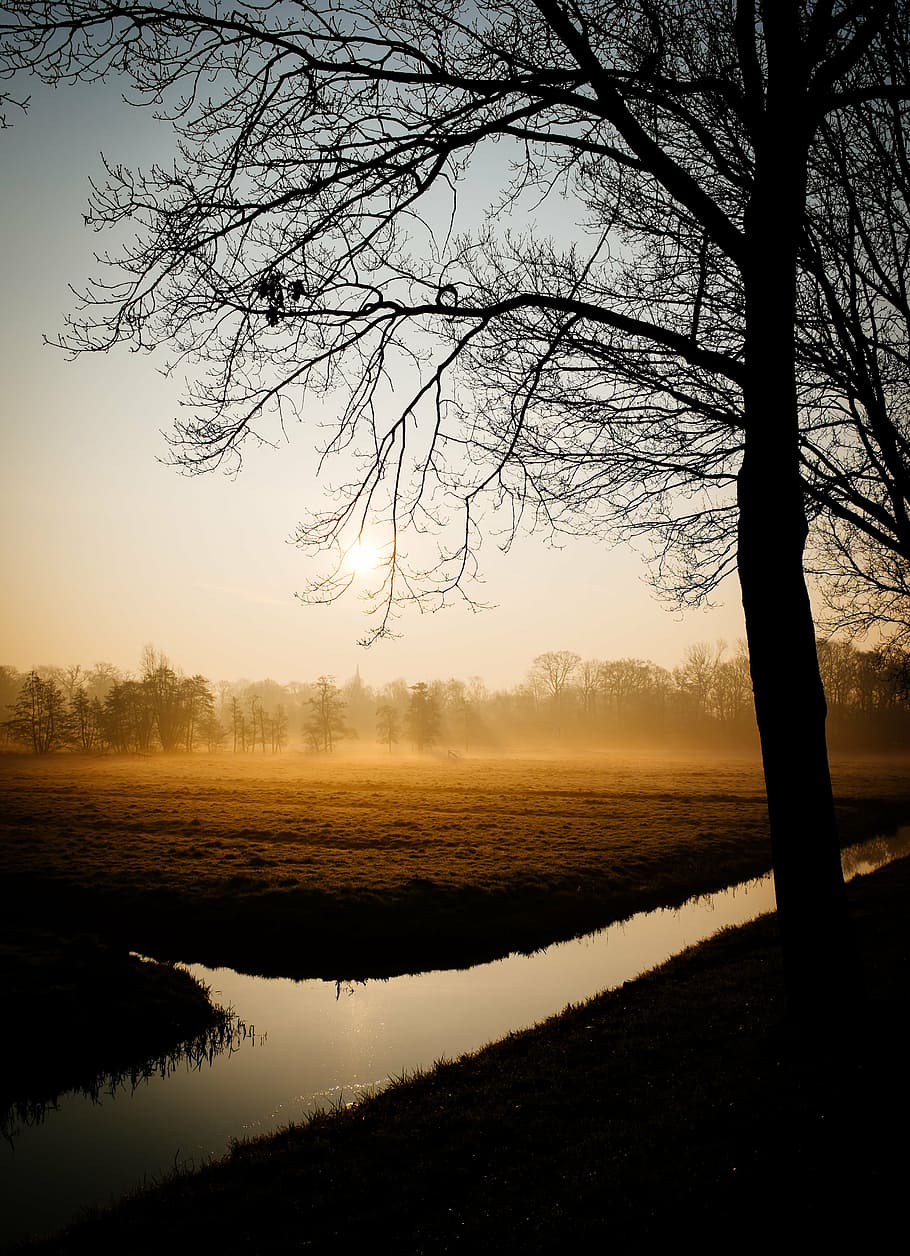 dawn, field, landscape, nature, sunrise, sunset, tree, twilight HD wallpaper