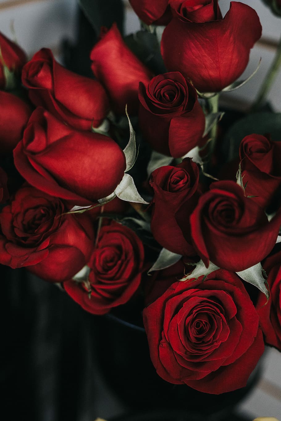 red roses, closeup photography of red roses, flower, bloom, petal HD wallpaper
