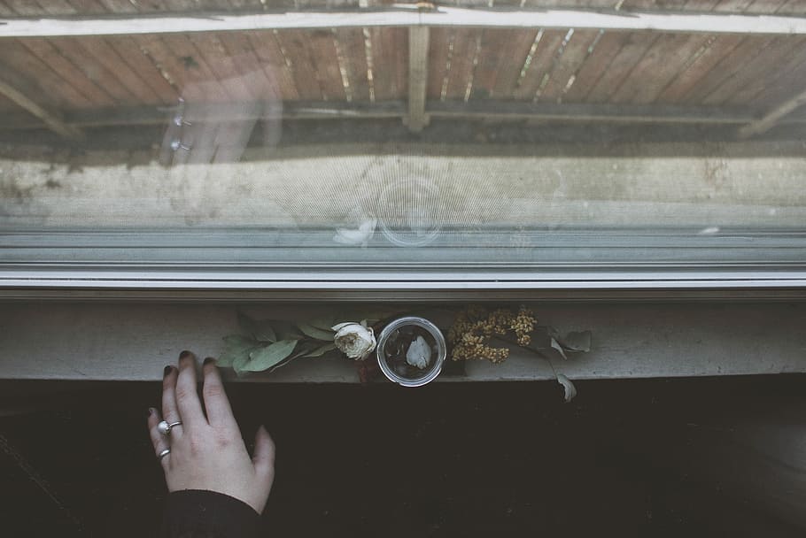person in front of flowers and window during daytime, white rose beside drinking glass on window flat lay photography HD wallpaper