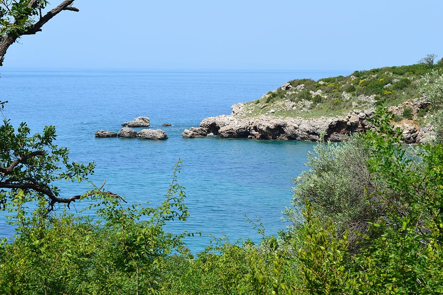 nature, water, sea, tree, seashore, montenegro, buljarica, adriatic sea HD wallpaper