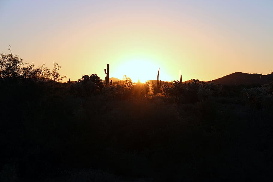 sunset photo, golden hour, mountain, sunrise, desert, cactus HD wallpaper