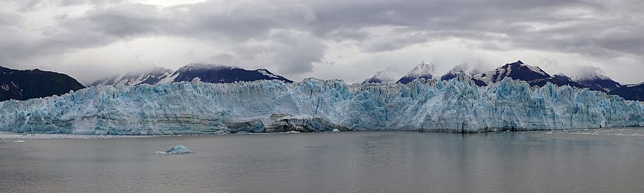 glacier, alsaka, ice, water, environment, landscape, cold temperature HD wallpaper