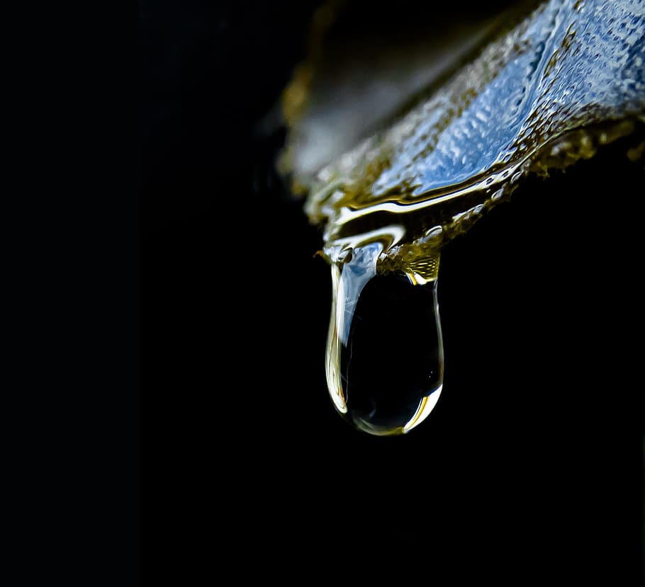 nature, bright, drop, leaf, green, natural, water, green leaves HD wallpaper