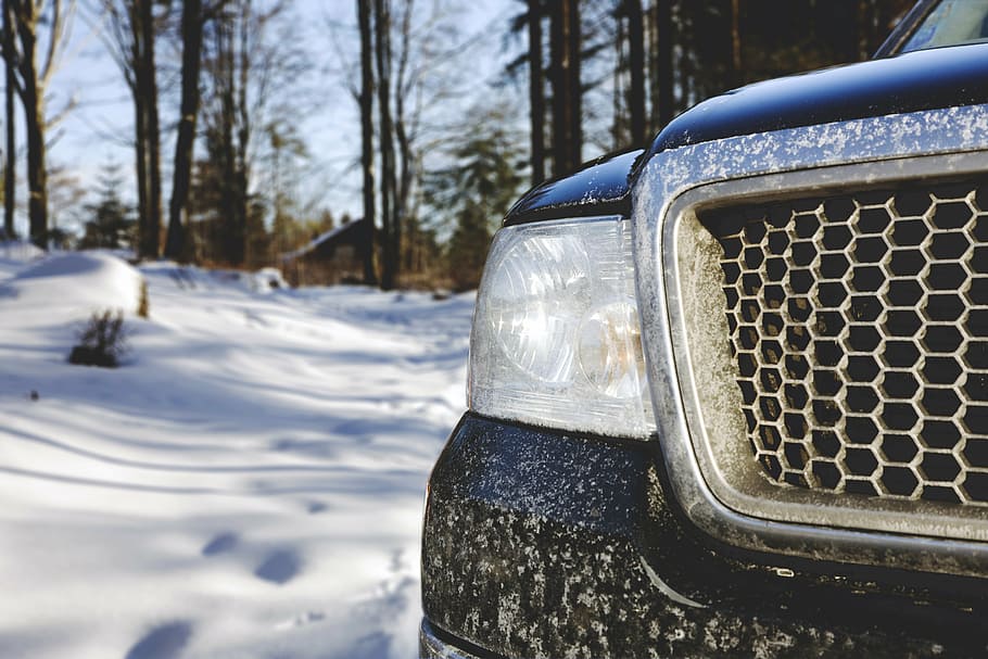 vehicle headlight near tree, forest, auto, offroad, suv, pkw HD wallpaper