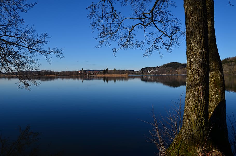 illmensee, water, spring, sky, tree, reflection, lake, plant HD wallpaper