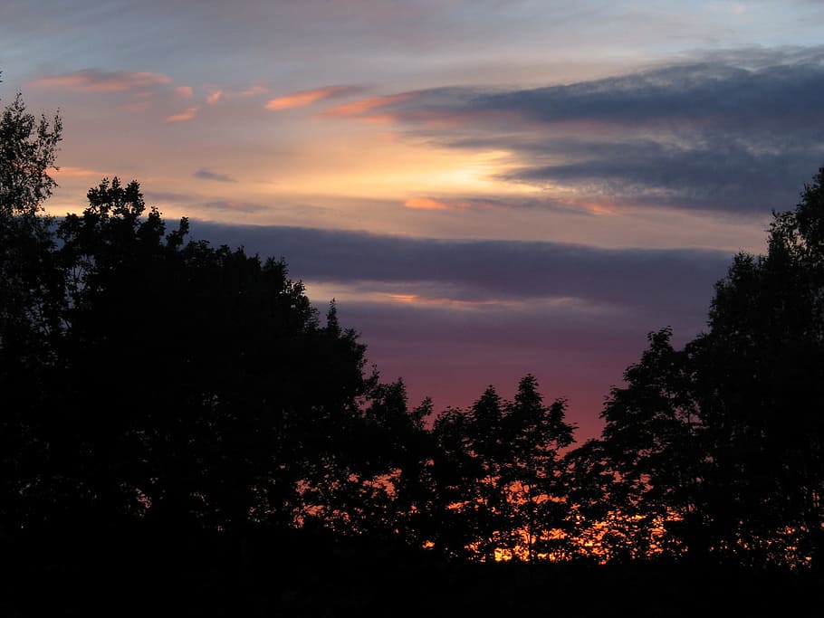 sunset, clouds, summer, tree, plant, sky, cloud - sky, beauty in nature HD wallpaper