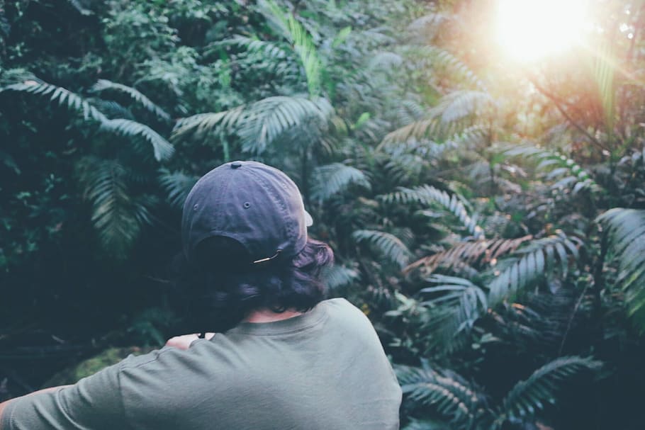 In the Jungle, person standing beside trees, nature, sun, one person HD wallpaper