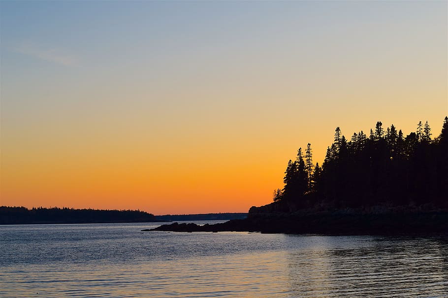 sunset, pine trees, ocean, shore, water, nature, forest, landscape HD wallpaper