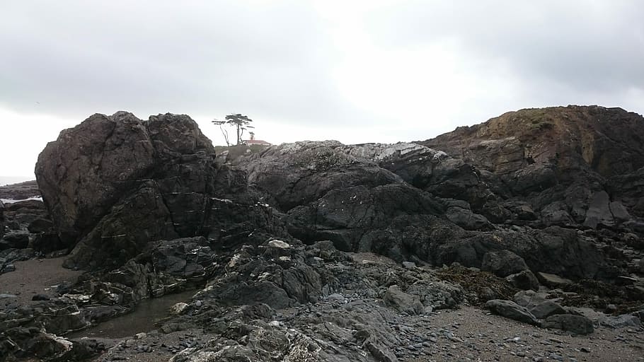 Oregon coast, rock formation, mountain, tree, pebbles, solid HD wallpaper