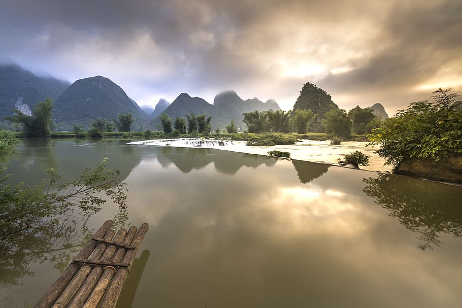high-angle photo of green leaf trees near body of water at daytime HD wallpaper