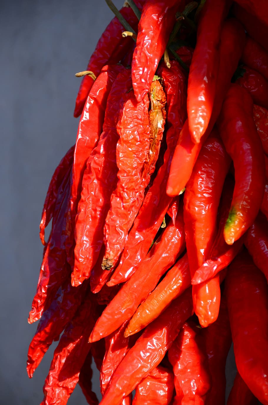 chilli, hot, red, spice, china, food and drink, freshness, chili pepper HD wallpaper