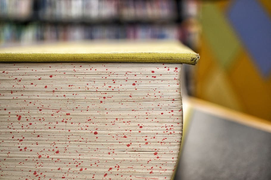 book, open, study, page, cover, textbook, information, school HD wallpaper