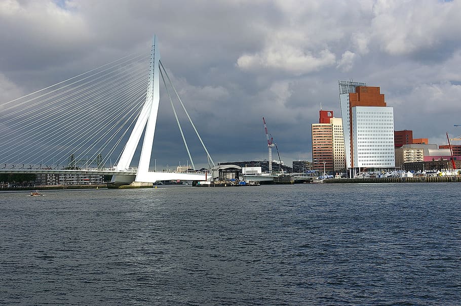 Rhine, River, Current, Bridge, suspension bridge, holland, water HD wallpaper