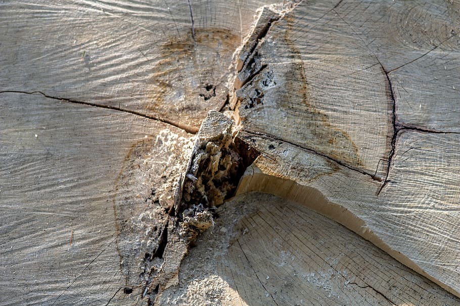 wood, rub, cracks, wood - material, tree, close-up, textured HD wallpaper