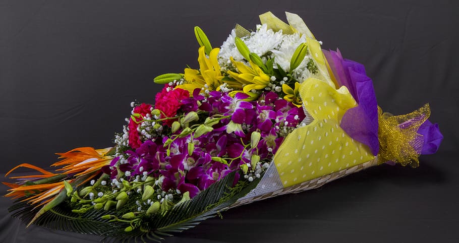 flowers, design, blossom, flowering plant, freshness, studio shot HD wallpaper