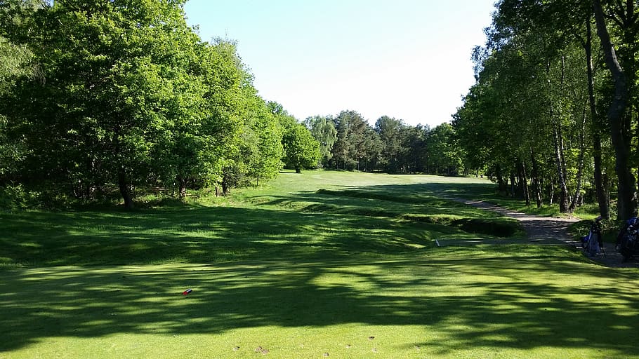 golf, golf course, green, grass, landscape, outdoor, summer, HD wallpaper