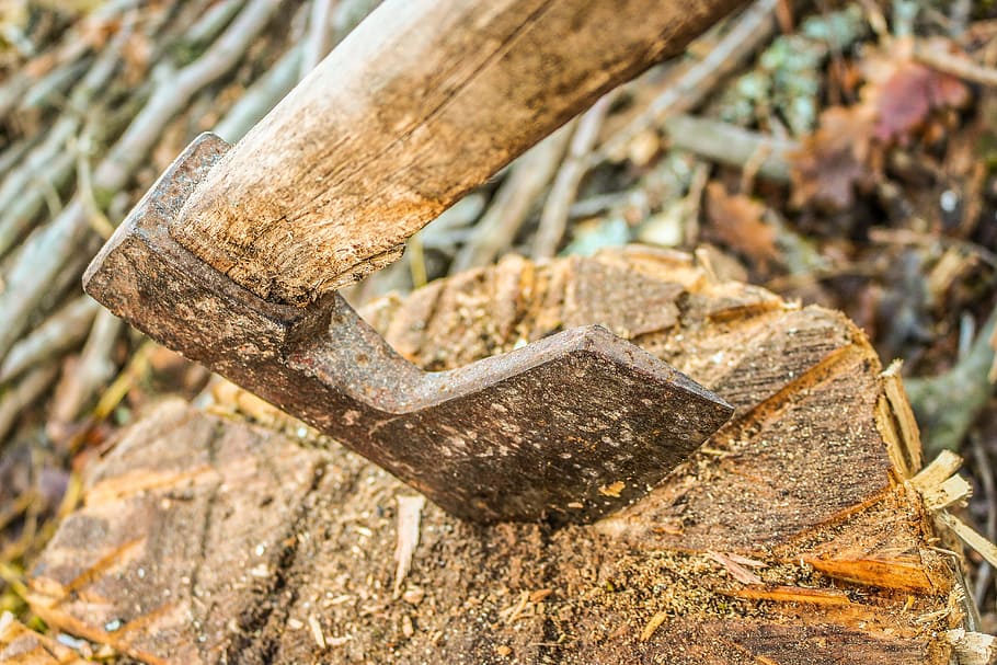 axe, wood, tree, cut, timber, lumberjack, log, chop, work, tool HD wallpaper