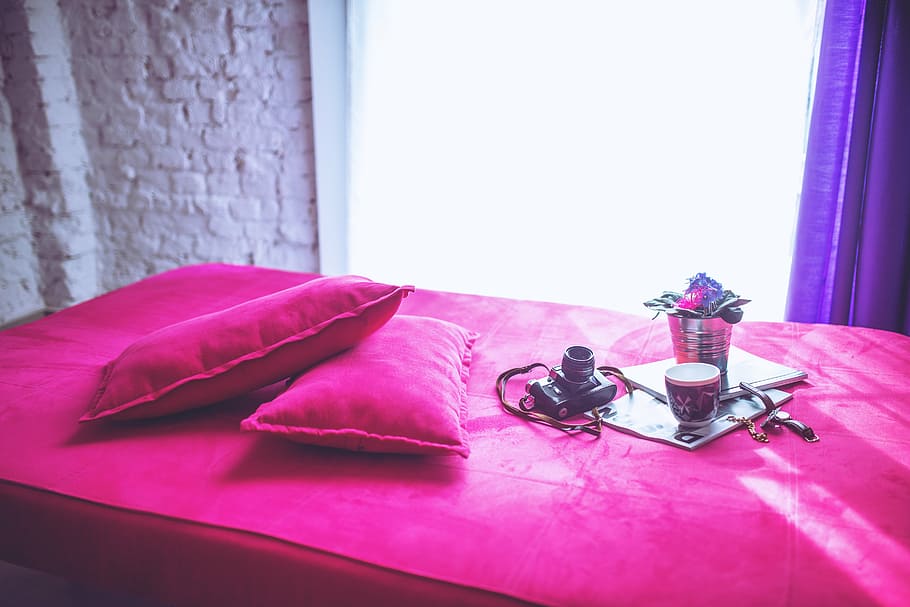 two rectangular pink pillows beside black DSLR camera, interior HD wallpaper