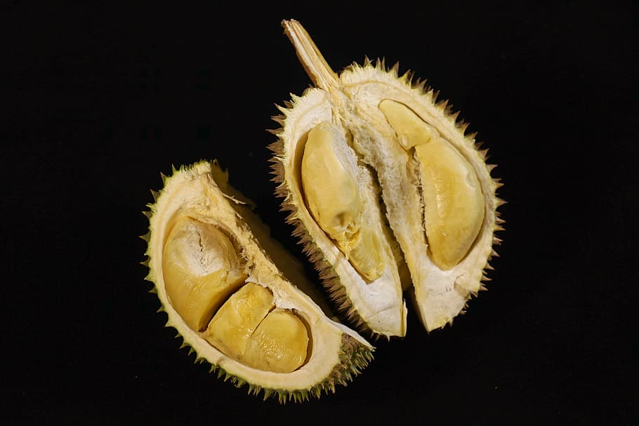 durian fruit, king of fruits, tropical, delicious, thorny fruit