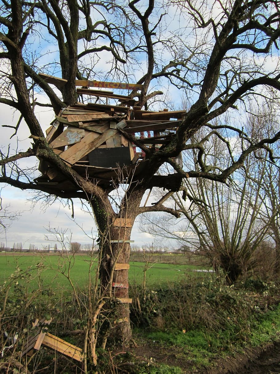 tree house, deteriorated, old, abandoned, building, weathered HD wallpaper