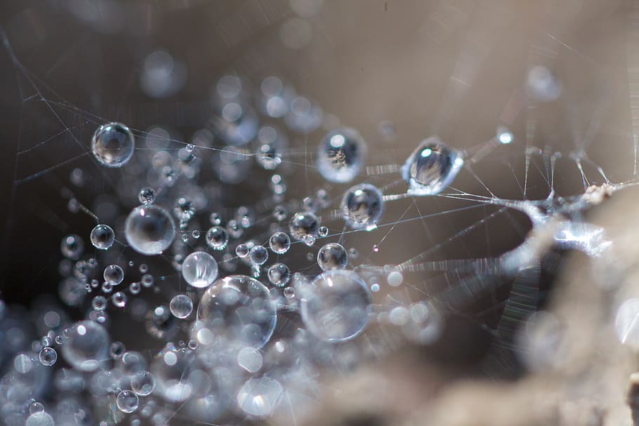 dewdrop, cobweb, close up, macro, cobwebs, lichtspiel, drop of water HD wallpaper