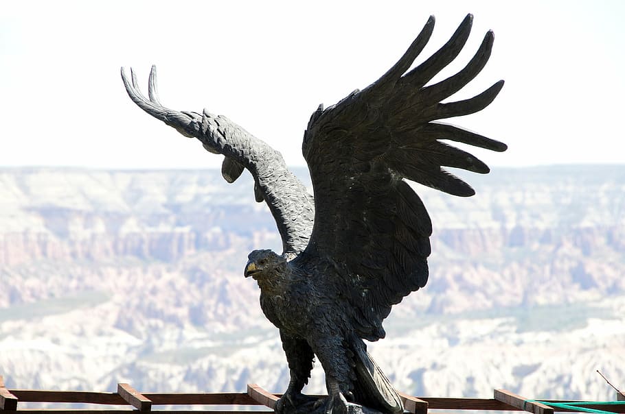 eagle, bronze, cappadocia, turkey, animal, animal themes, vertebrate HD wallpaper