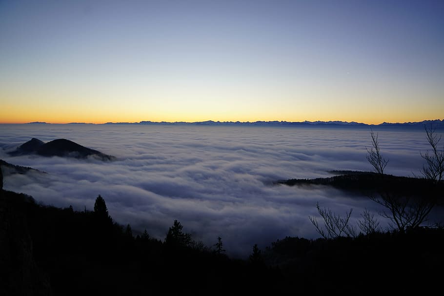 fog, nebellandschaft, forest, trees, homberg, belchenflue, alpine HD wallpaper