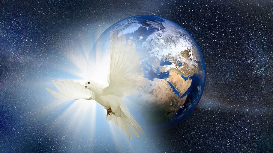 dove, peace, global, world, universe, bird, white, symbol, pigeon, HD wallpaper