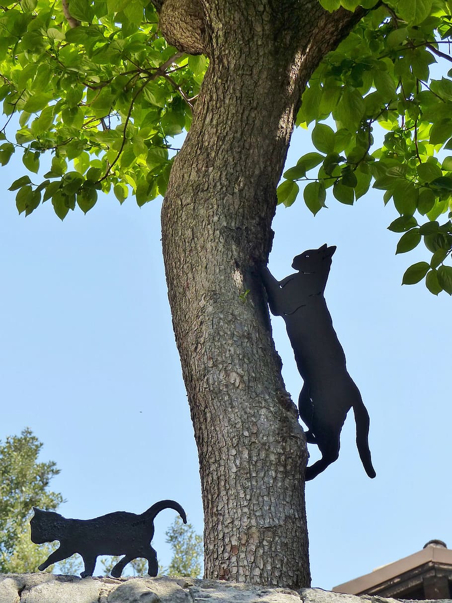 art, metal, cat, silhouette, iron, sheet, log, climb, small cat