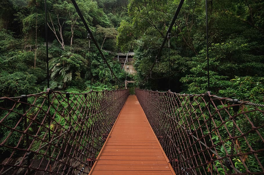 Xiao Wulai Bridge, photography of hanging bridge near forest HD wallpaper