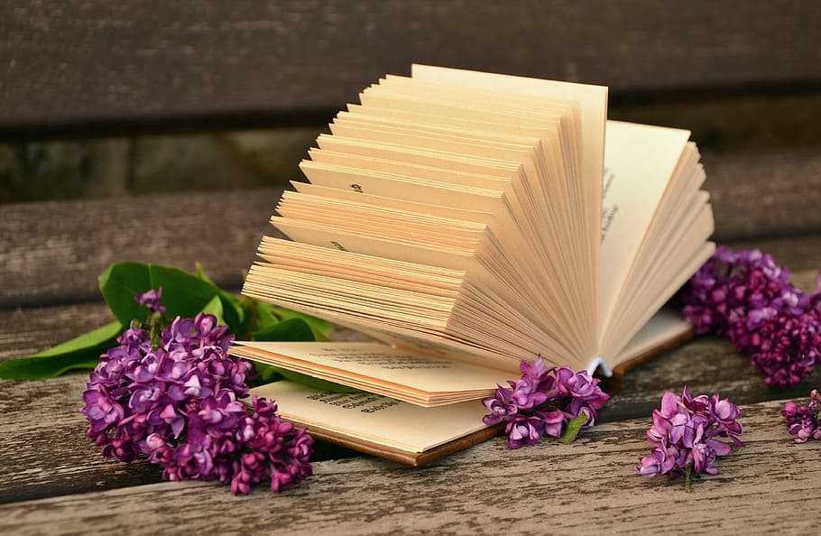 beige book with pink flowers on brown surface, book pages, old HD wallpaper