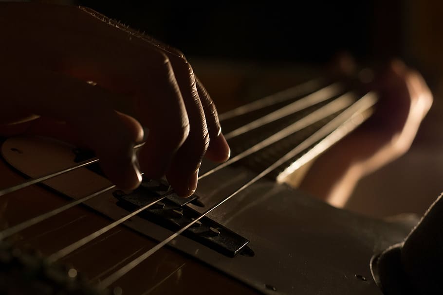 person using bass guitar, playing, electric, string, hand, musical HD wallpaper