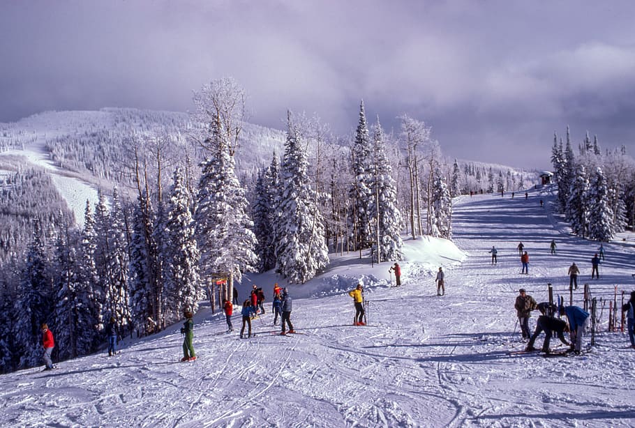 mountain, highland, snow, winter, trees, plant, people, crowd HD wallpaper