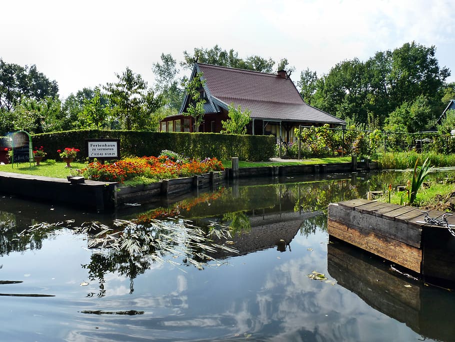 spreewald, depth, water, boot, nature, lake, reflection, plant HD wallpaper