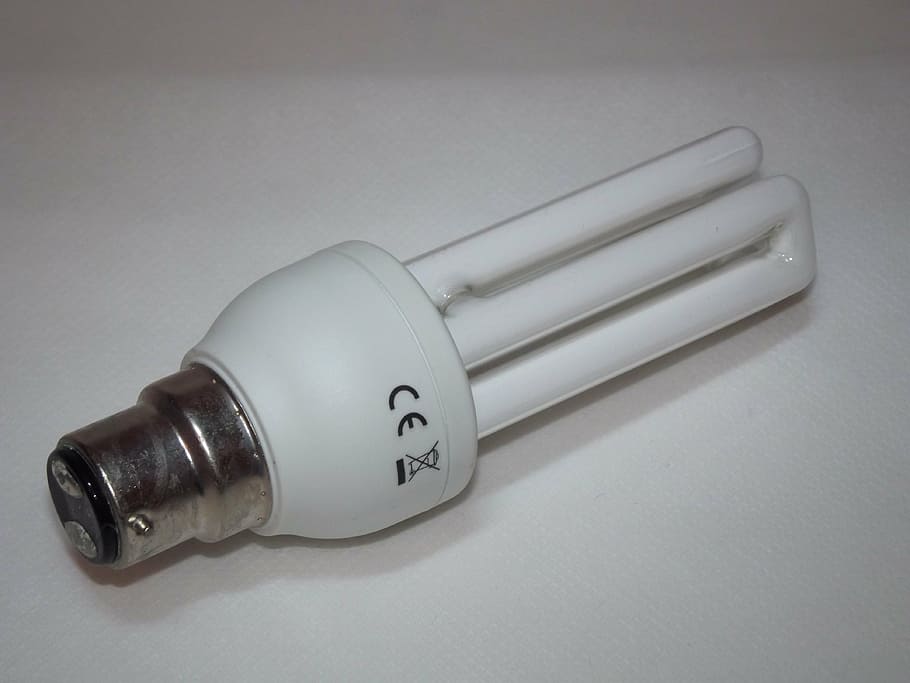 light, bulb, energy, saving, watt, watts, light Bulb, electricity HD wallpaper