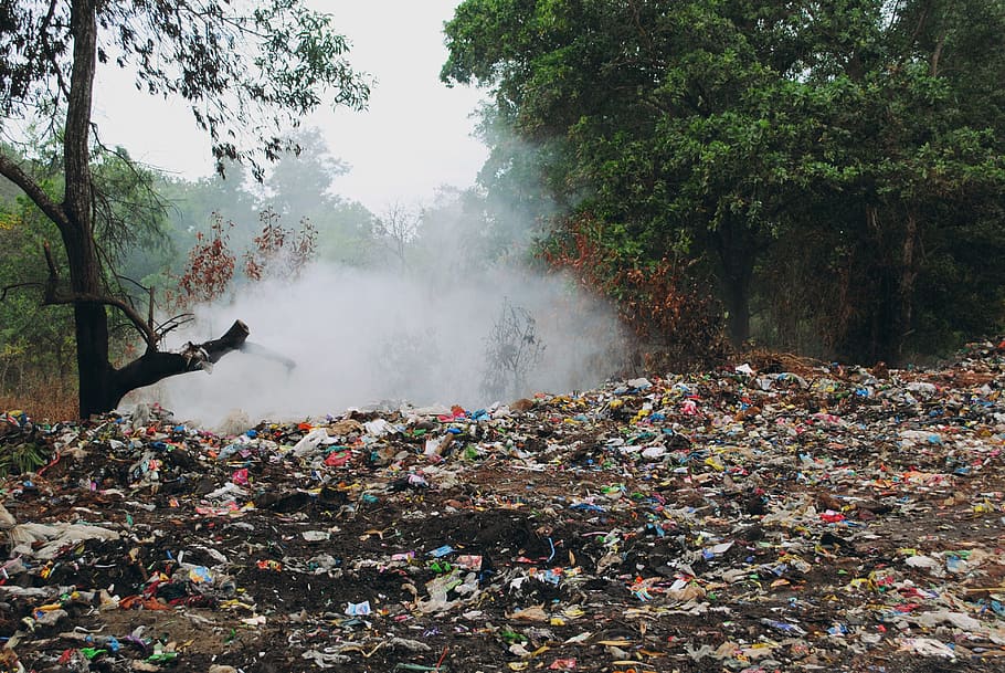 field filled with trash, garbage, stinky, dump site, woods HD wallpaper