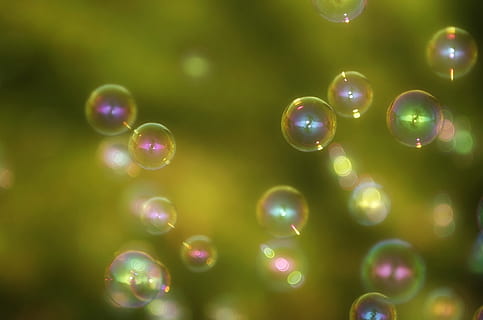 water bubbles photography, wet, soap bubbles, float, colorful HD wallpaper