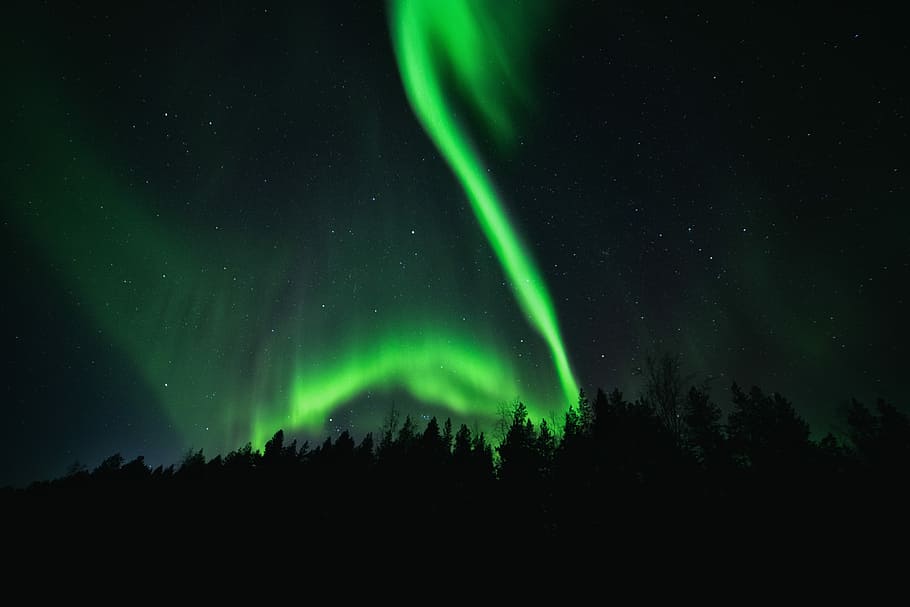 northern light, silhouette of trees with aurora lights, star HD wallpaper