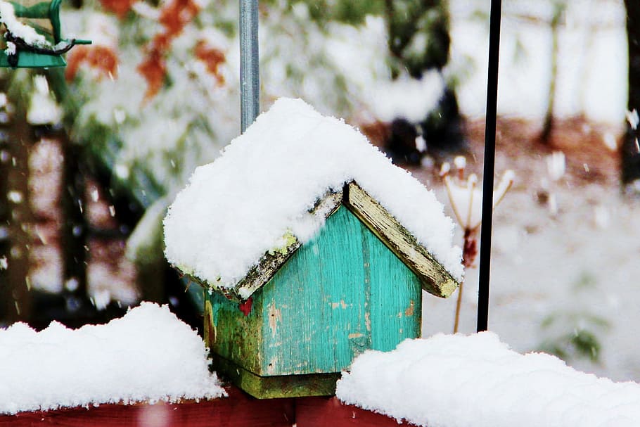 snow, winter, birdhouse, cold, white, season, december, cold temperature HD wallpaper