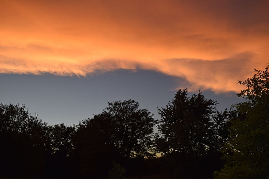 sunset, clouds, orange, light, evening, twilight, pretty, trees HD wallpaper