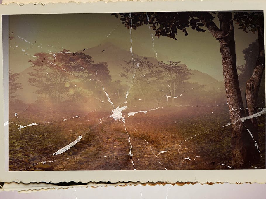 mountains near trees photo on white surface, image, old, broken HD wallpaper