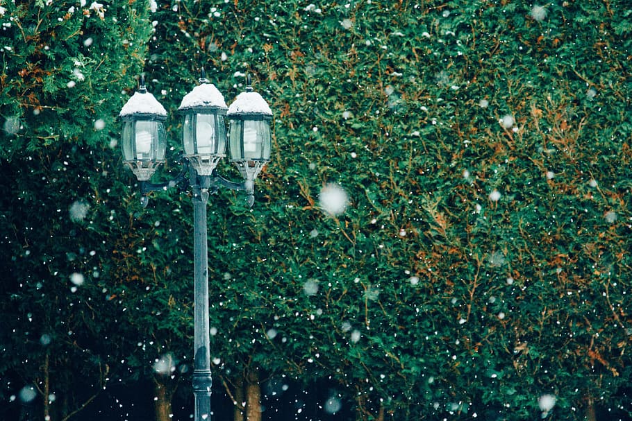 green, leaf, plant, nature, blur, outdoor, pole, light, lighting equipment HD wallpaper