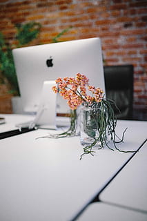 HD wallpaper: Modern office Interior with old vintage brick Wall