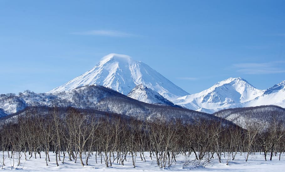 volcanoes, mountains, winter, forest, snow, landscape, nature, HD wallpaper