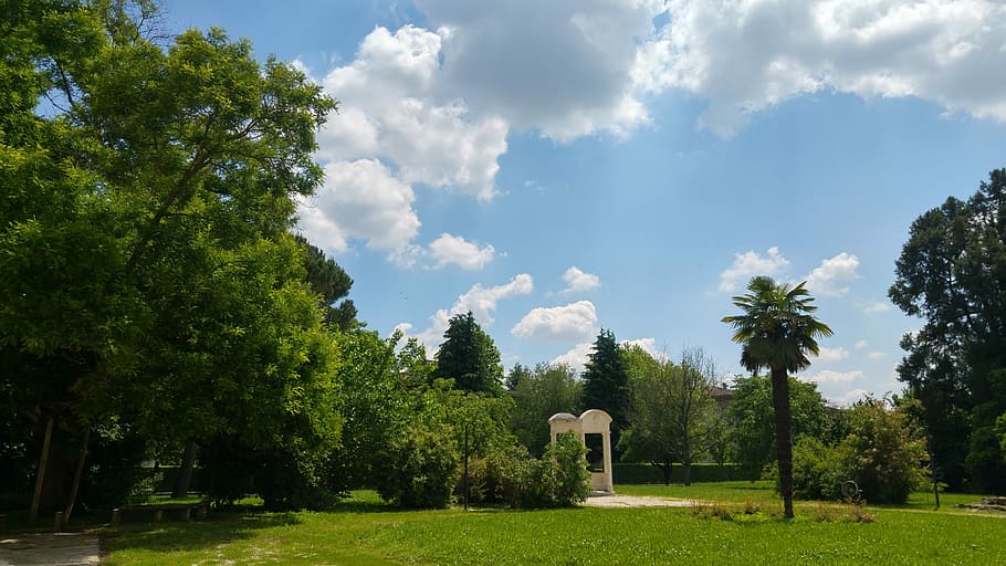 Nature, Green, Tree, Italy, park, day light, sky, spring, prato HD wallpaper