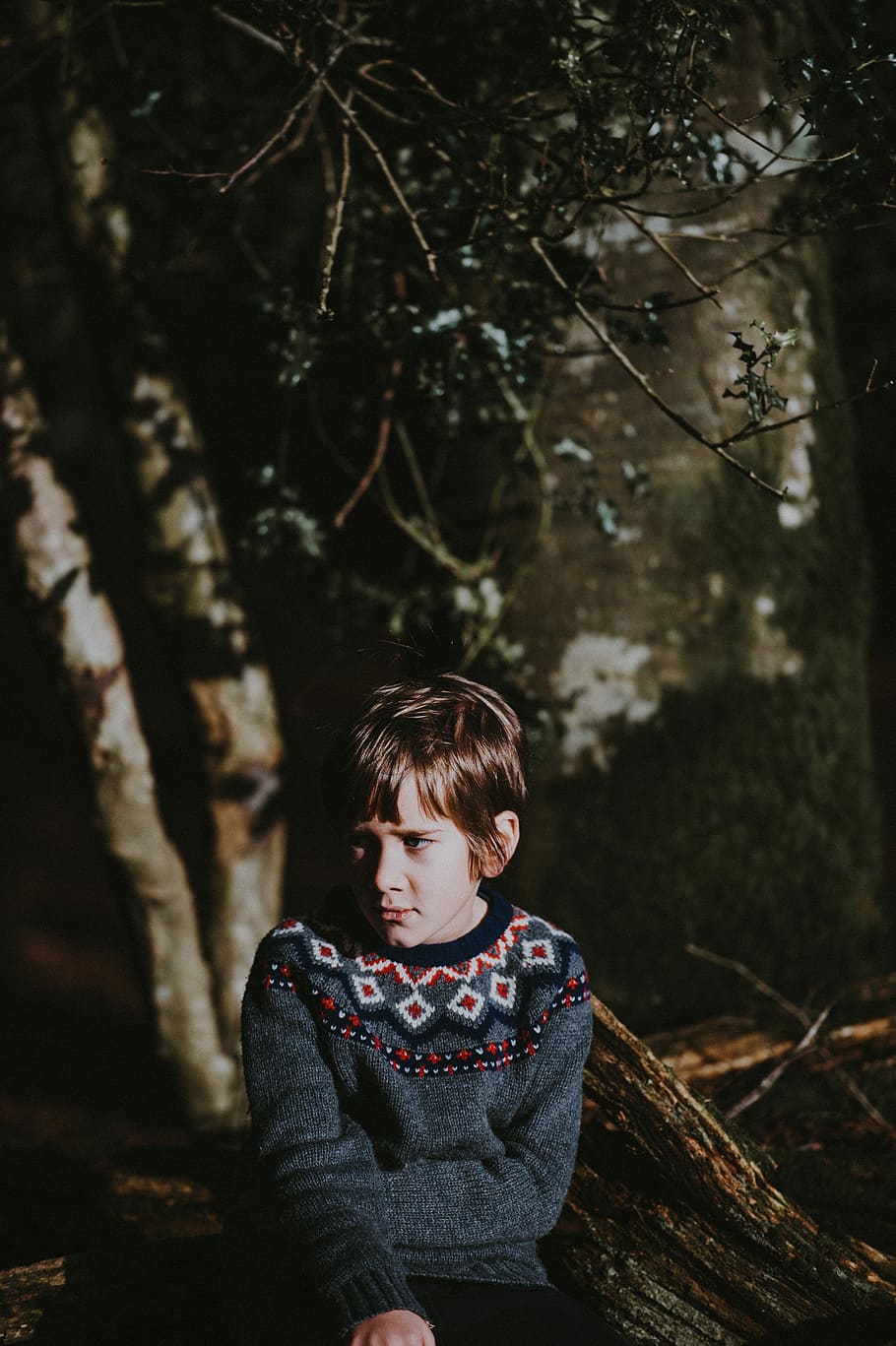 Boy in the woods, child sitting on tree log, woodland, forest HD wallpaper