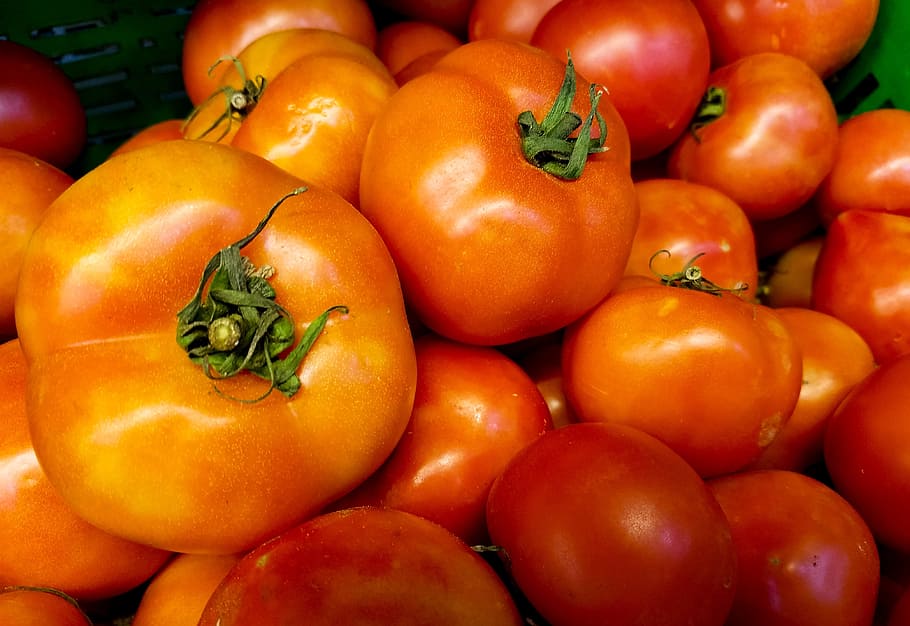 Red Tomatoes, close-up, cooking, delicious, diet, farming, food HD wallpaper